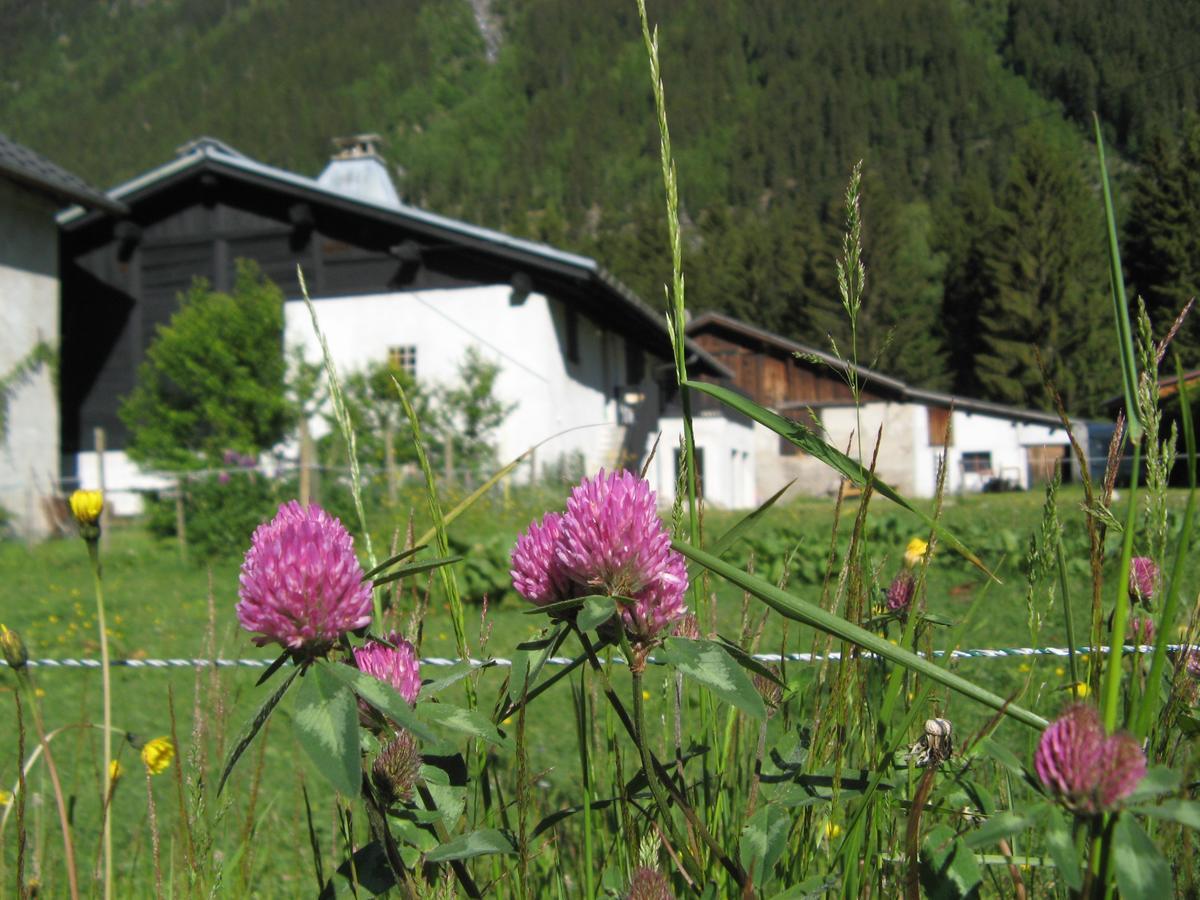 Gite Nouveau Grassonnet Chamonix Zewnętrze zdjęcie